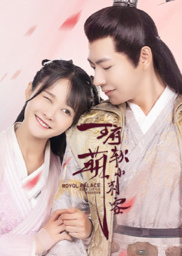 王府軟萌小刺客 王府軟萌小刺客