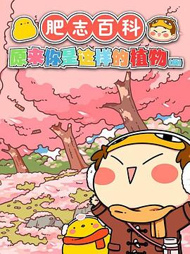 肥志百科原來(lái)你是這樣的植物篇 肥志百科原來(lái)你是這樣的植物篇