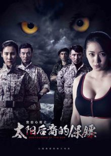 太陽后裔的保鏢 太陽后裔的保鏢