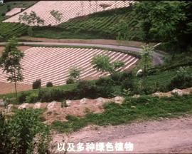 山鄉(xiāng)書記 山鄉(xiāng)書記