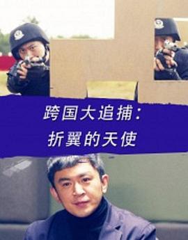 跨國大追捕:折翼的天使 跨國大追捕:折翼的天使