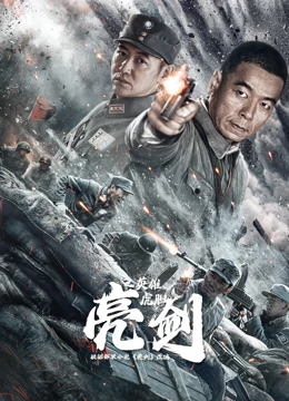 亮劍之英雄虎膽 亮劍之英雄虎膽