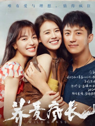 蕎麥瘋長(zhǎng)