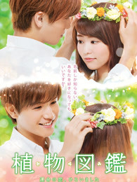 植物圖鑒 植物圖鑒