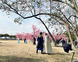 聊齋新編之嬰寧 聊齋新編之嬰寧