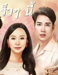 愛(ài)的領(lǐng)域 愛(ài)的領(lǐng)域