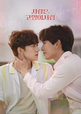 愛情像貓一樣 愛情像貓一樣