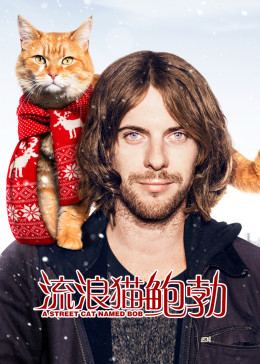 流浪貓鮑勃(原聲版) 流浪貓鮑勃(原聲版)