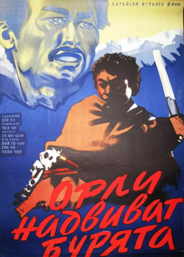 暴風(fēng)中的雄鷹 暴風(fēng)中的雄鷹