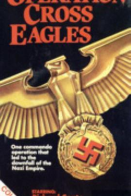 十字鷹行動(dòng) Operation Cross Eagles 十字鷹行動(dòng) Operation Cross Eagles