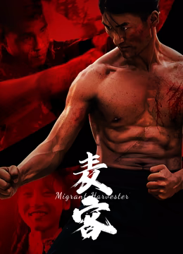 麥客2024 麥客2024