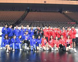 全明星運(yùn)動(dòng)會(huì) 全明星運(yùn)動(dòng)會(huì)