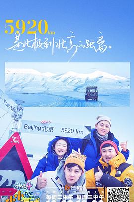 小小的追球 小小的追球