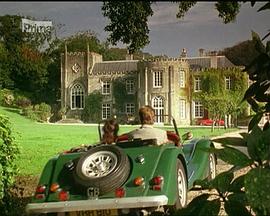 夏日戀情 夏日戀情