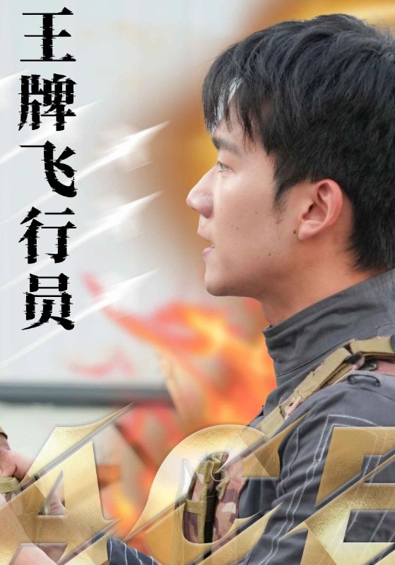 王牌飛行員 王牌飛行員