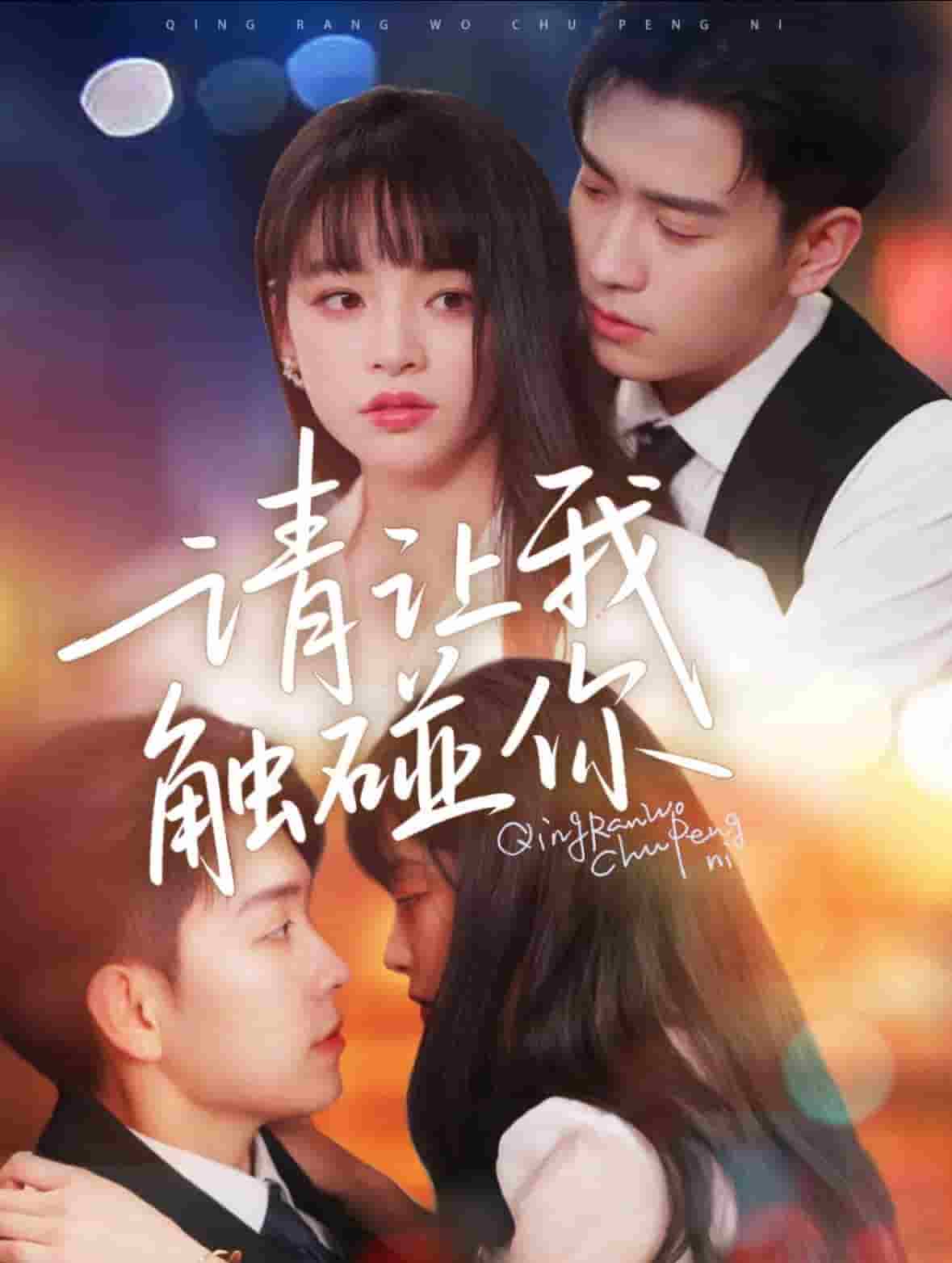 請讓我觸碰你 請讓我觸碰你